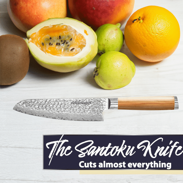 Santoku knife with fresh fruits on table.